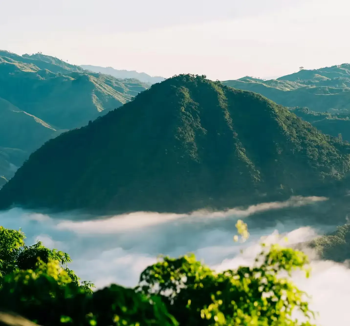 Imaginer et créer de beaux sites